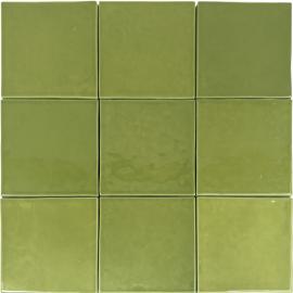 | MATCHA GLOSSY